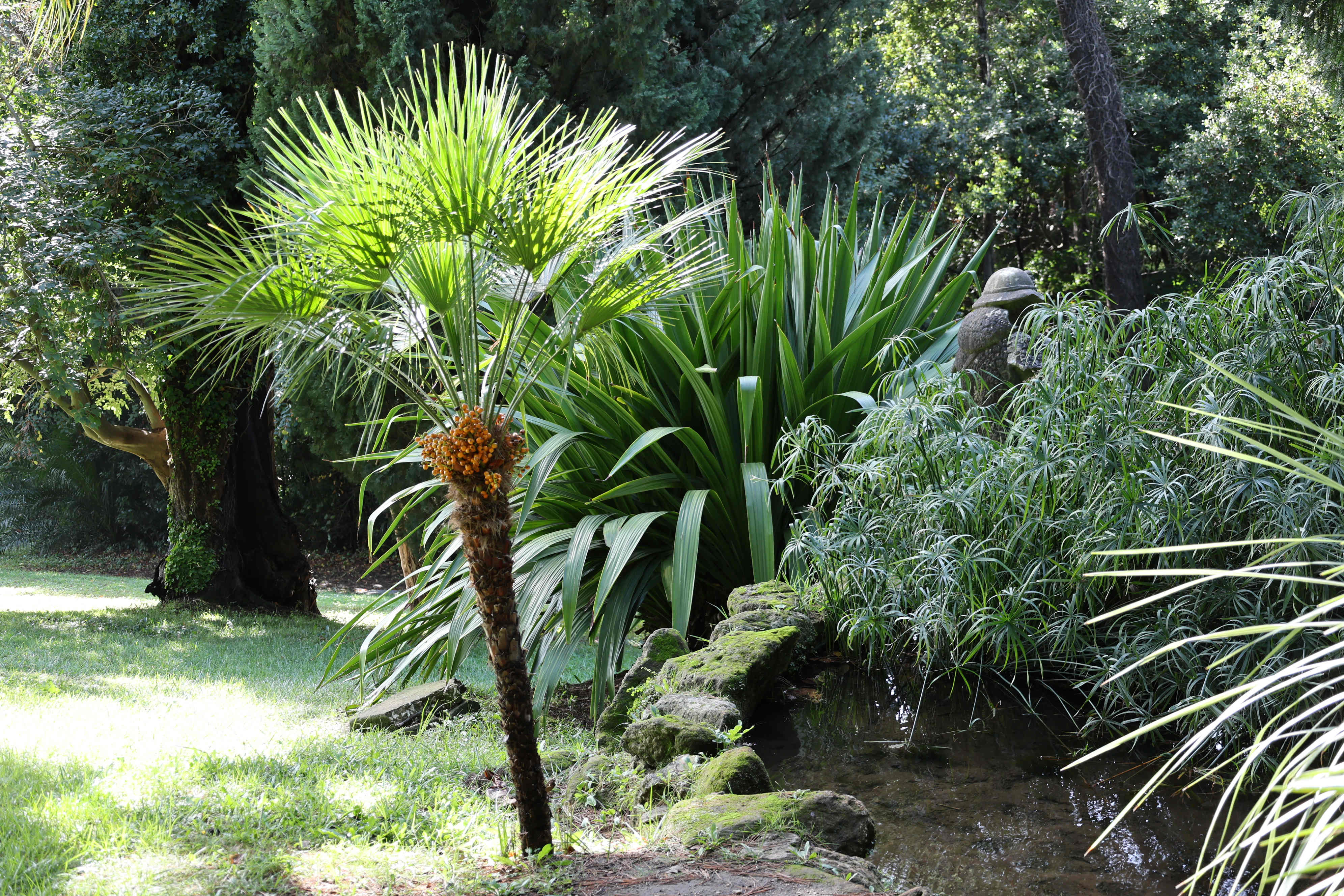English Garden